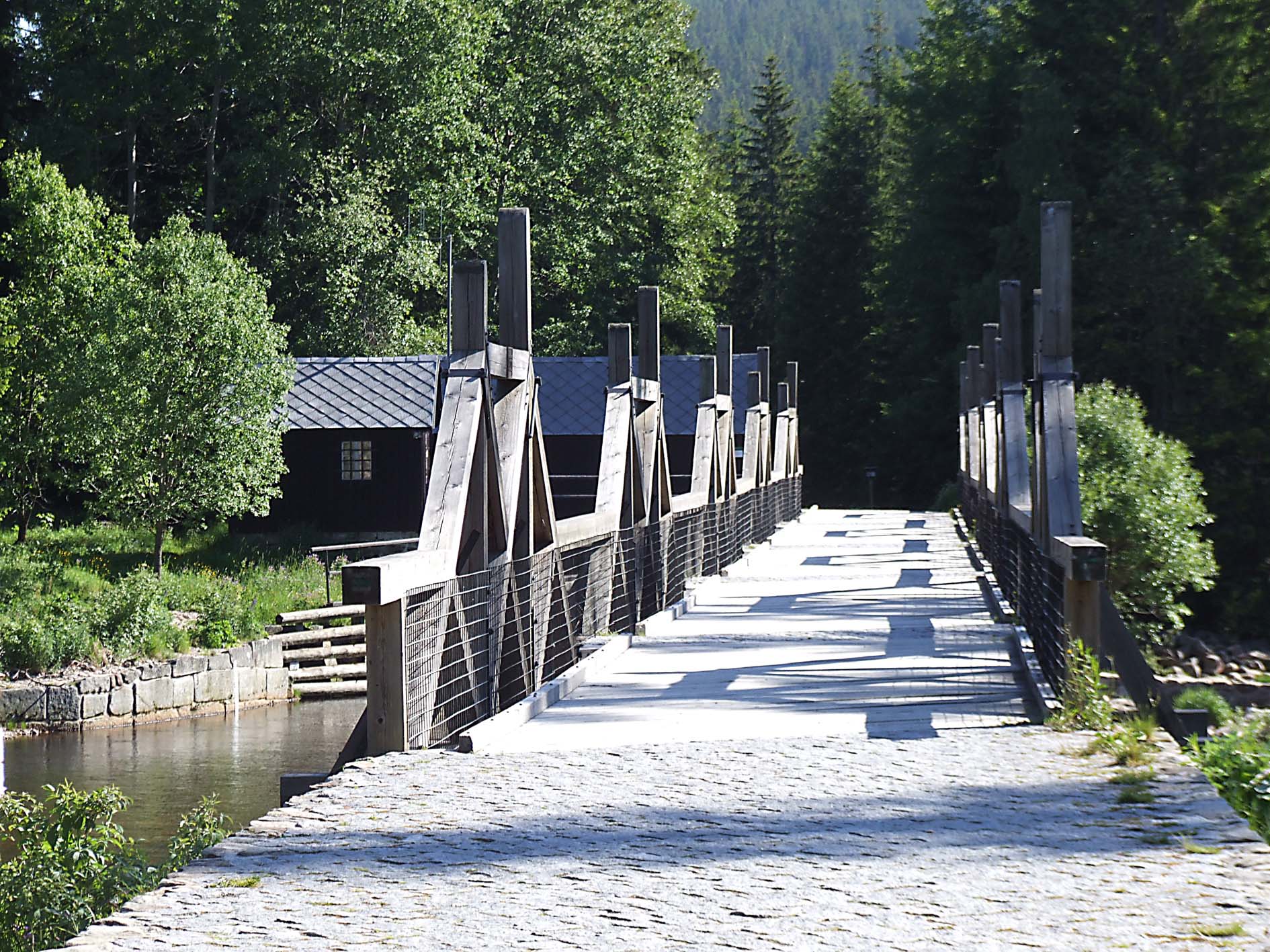 Modrava rechle 003