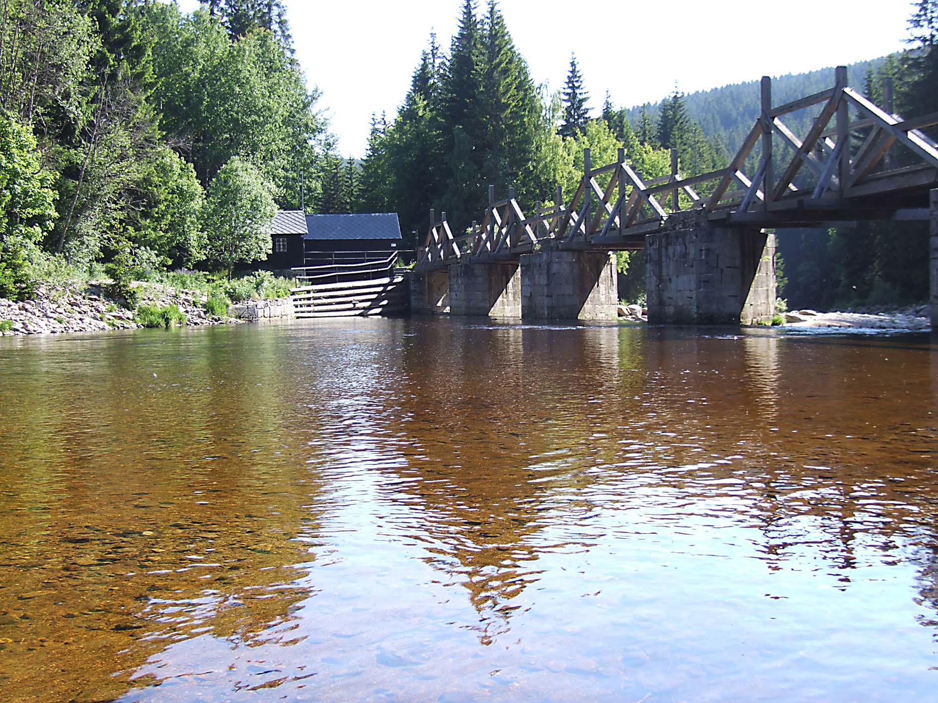 Modrava rechle 004