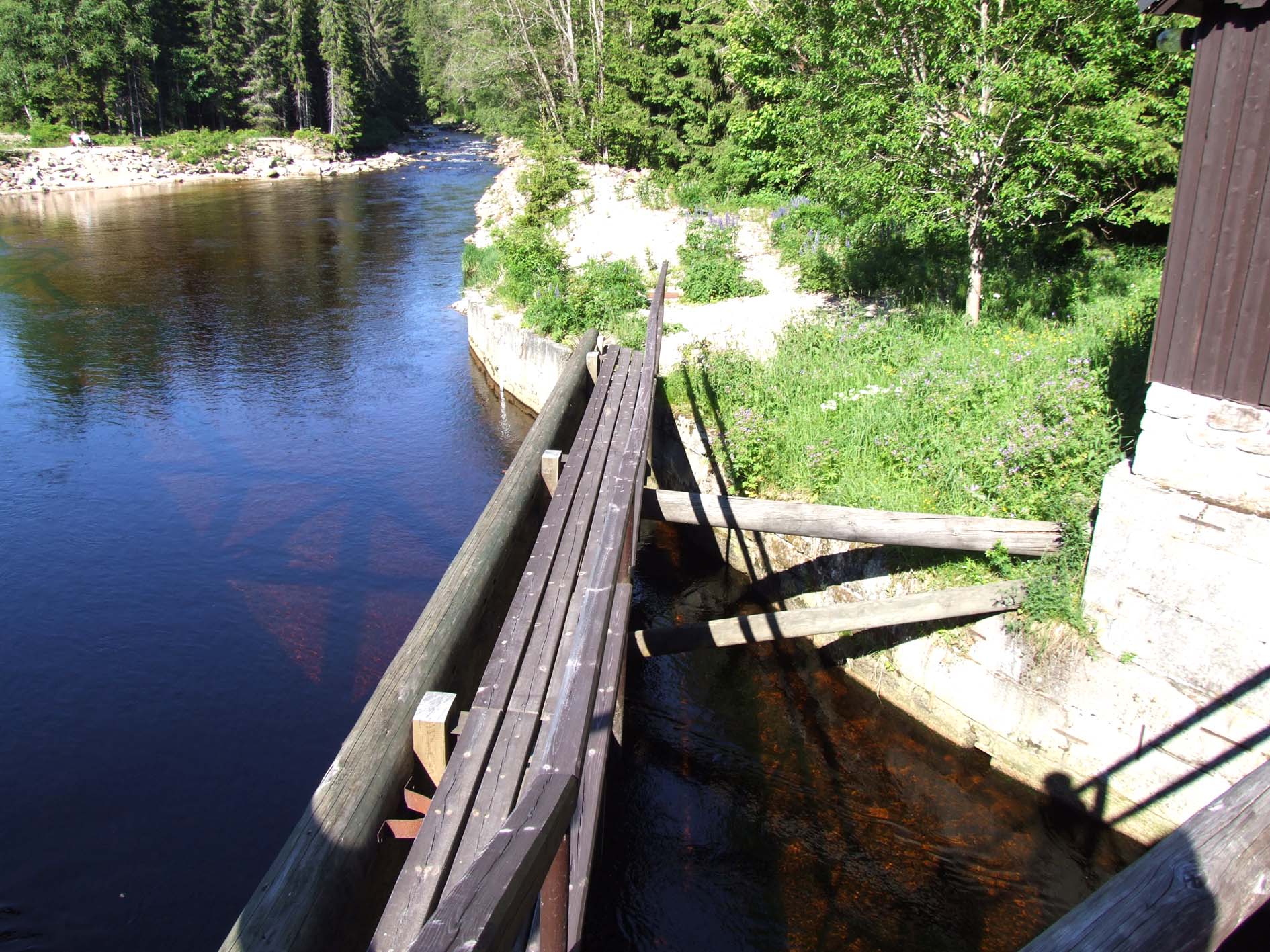 Modrava rechle 015