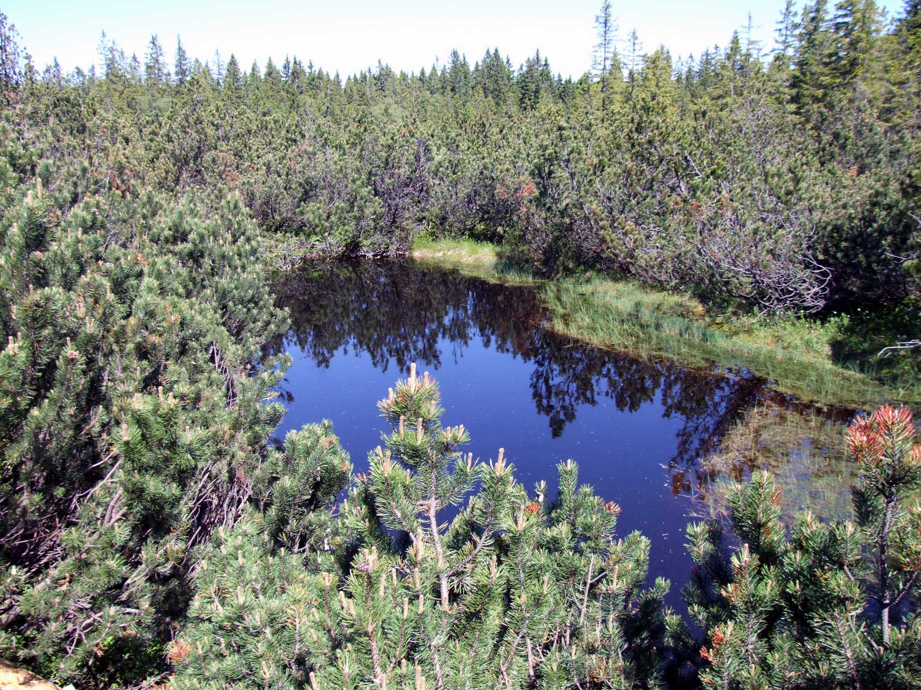 Tříjezerní slať 022