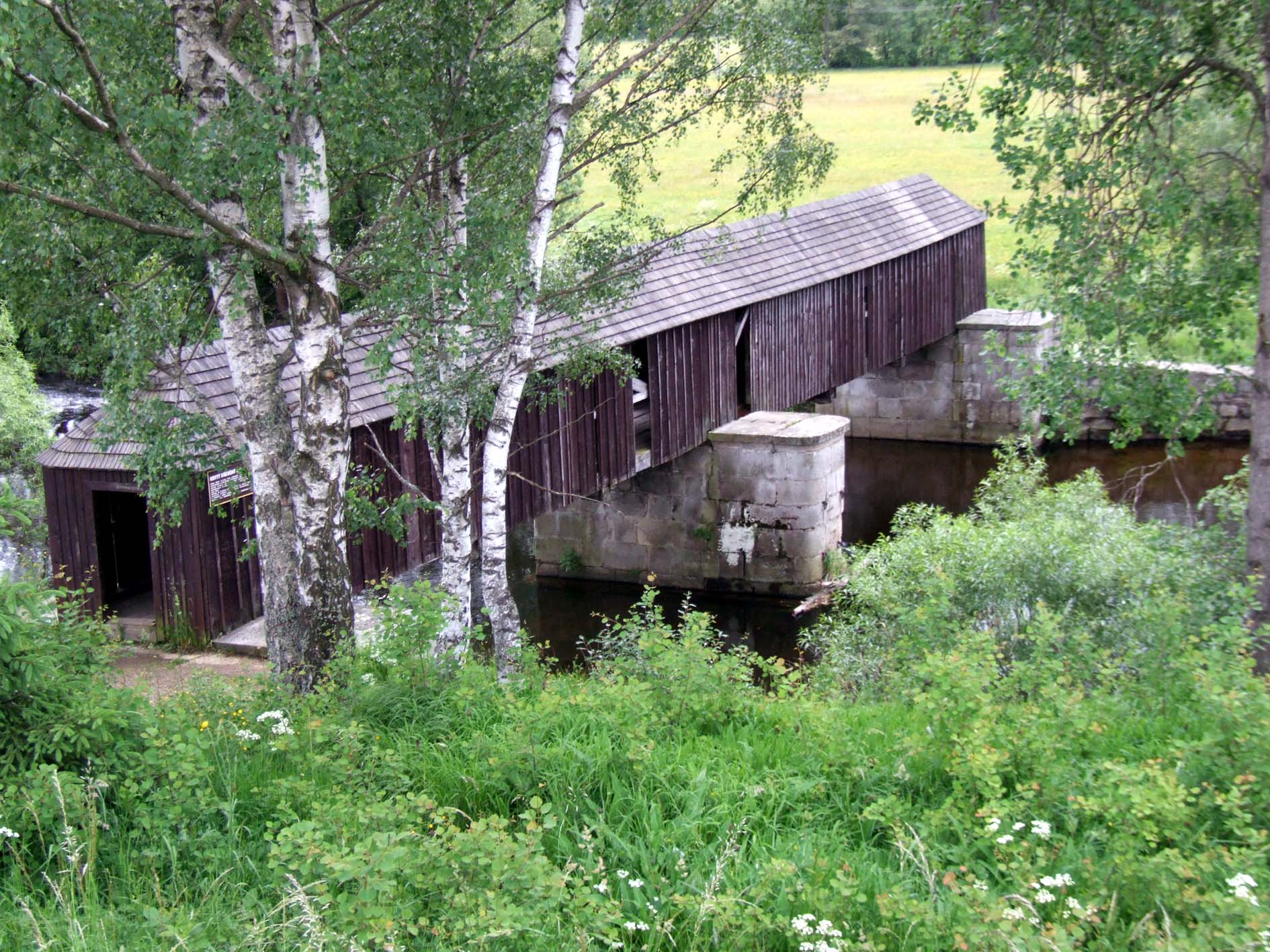 Lenora 033