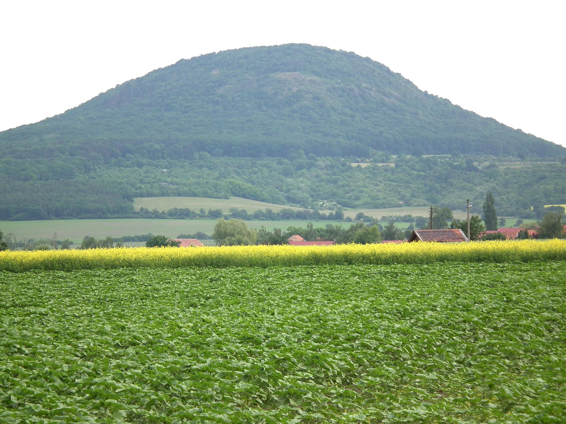 Říp 2