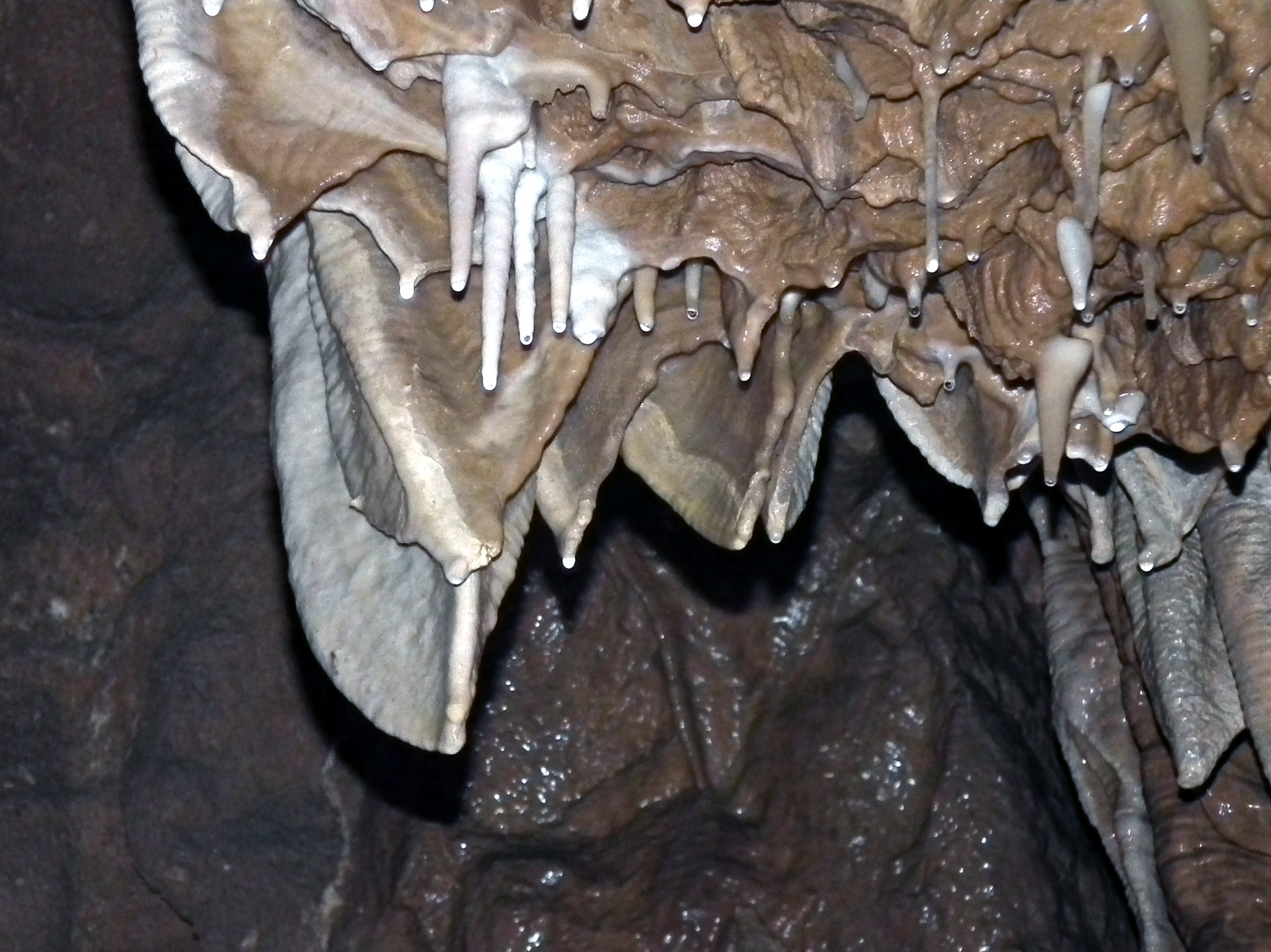 Koněpruské jeskyně (31)