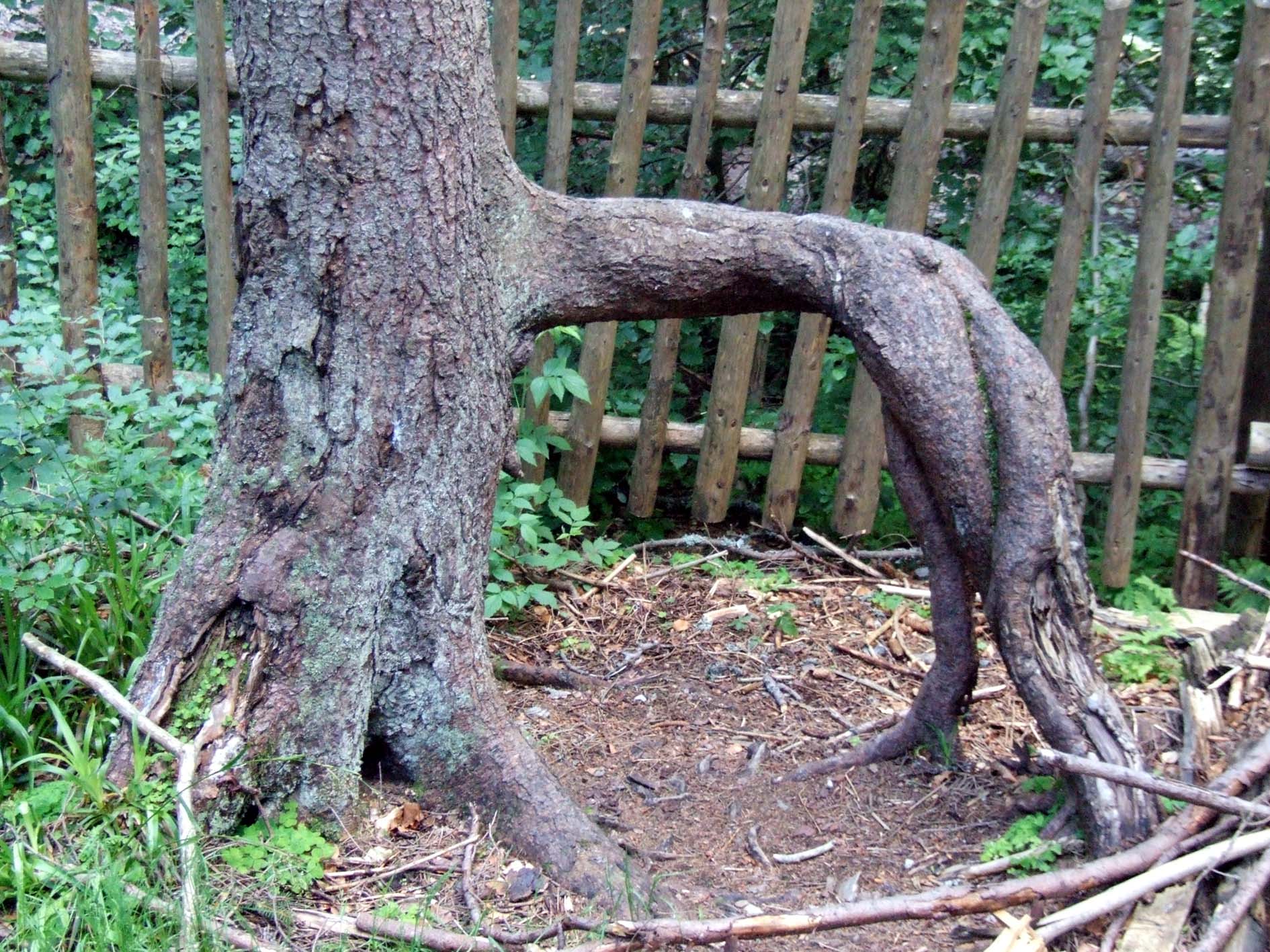 Boubín 047