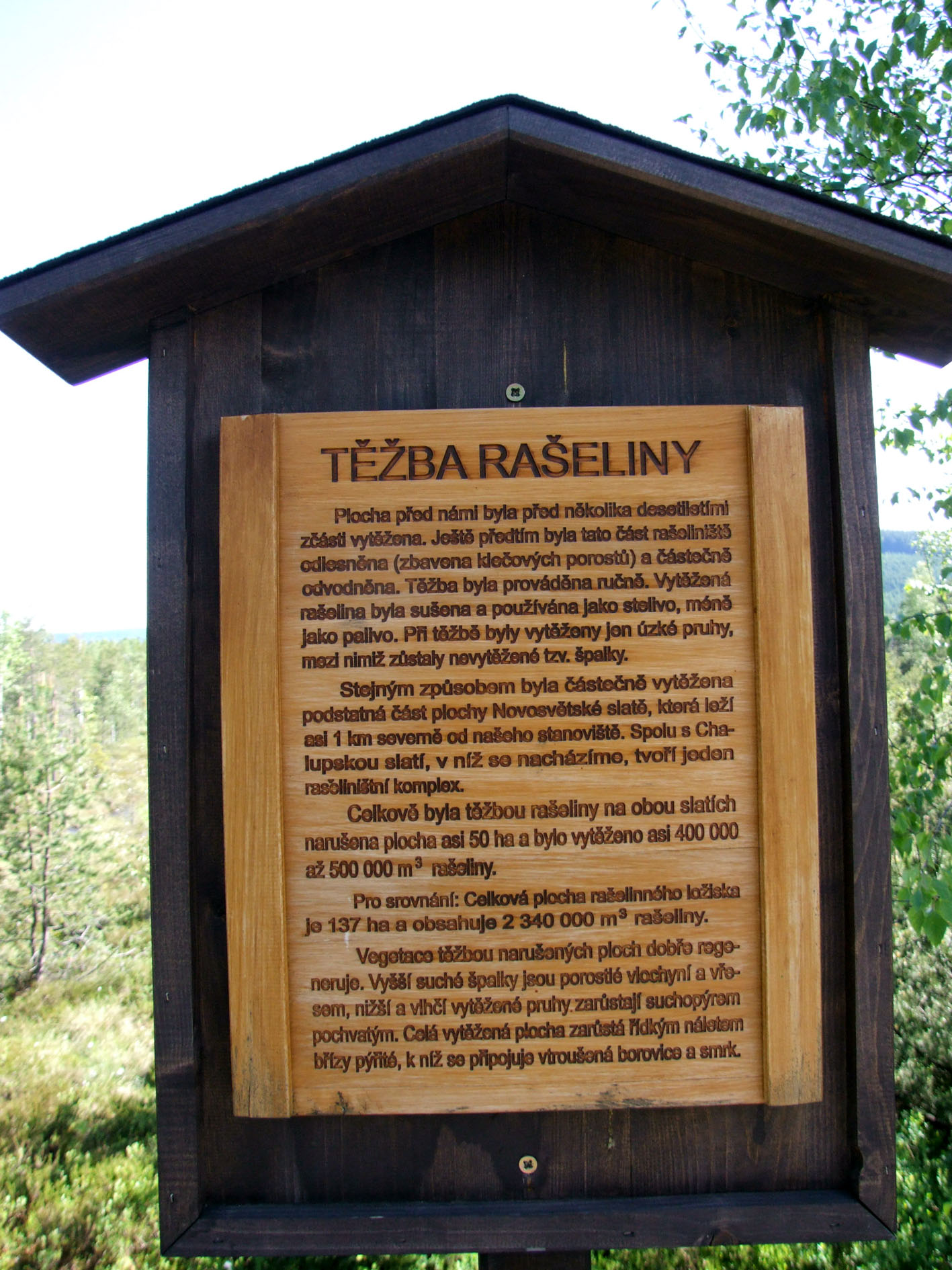 Chalupská slať 010